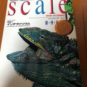 スケイル　創刊号　爬虫類両生類情報誌　