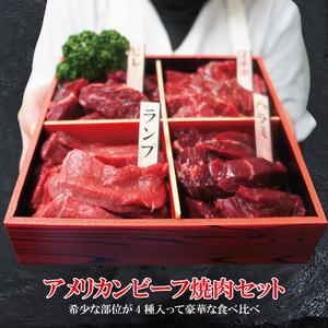 送料無料 ギフト 贈答品 牛肉焼肉カルビ食べ比べ4点盛り合わせ500ｇ冷凍 2セット同時購入で肉500ｇ増量中