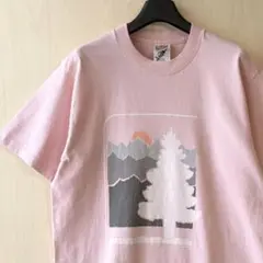 90s USA製古着　ヴィンテージ　Tシャツ　風景グラフィック　シングルステッチ