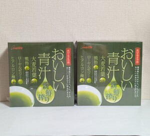 ☆送料無料☆ エバーライフ おいしい青汁 30包×2箱 / 匿名配送 新鮮搾り大麦若葉 熊笹 ローヤルゼリー ヒアルロン酸 everlife