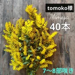 ◎7〜8部MIX40本　tomoko様専用