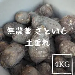 【無農薬】千葉県産 里芋 さといも 4kg