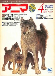 （月刊誌）　アニマ（野生からの声）　1988年4月（187号）　特集他：　オオカミ、植物元年、動物の視点・人間の視点（対談）　平凡社