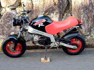 ホンダモンキーR タケガワ88cc タンク、フレームオリジナルペイントシート張替え新品 マフラー、キャブヨシムラ タイヤ新品他カスタム 