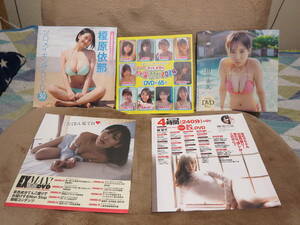 アイドルDVD5枚セット 榎原依那 高鶴桃羽 大原優乃 桑島海空 田中美久 樹智子 本郷柚巴 他 定形外郵便発送にてポストへ投函 送料込み!