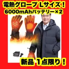 電熱グローブ 3Mシンサレート 保温手袋 12000mAh 大容量バッテリー付き