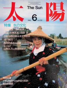 太陽 1985年6月号 The Sun 特集 水の文化 平凡社　YB241021D1