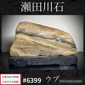 【年始初売り】水石 盆栽 瀬田川石 ウブ横22×高14×奥行6.5(cm)重量:1.66kg 骨董盆石古美術中国古玩 6399