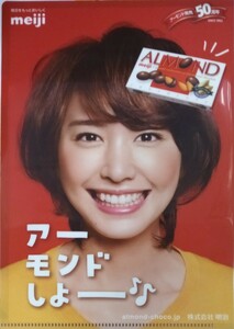 新垣結衣（Ａ５サイズ）クリアファイル 同梱可