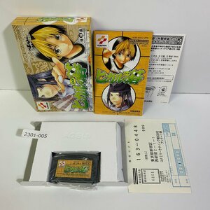 GBA ヒカルの碁 【動作確認済】 【送料全国一律500円】 【即日発送】 2301-005