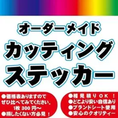 オーダーメイド 防水 カッティングステッカー 切り文字 アウトドアオリジナル車安