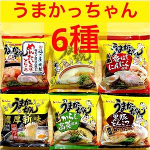 うまかっちゃん　期間限定、めんたい風味とんこつ を含む　6種　6食　とんこつラーメン　インスタントラーメン　食べ比べ　セット