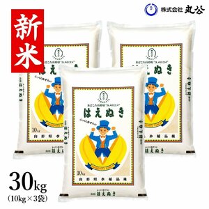 新米 令和6年産 米 お米 30kg 10kg×3袋 はえぬき 白米 精米 山形県産 送料無料