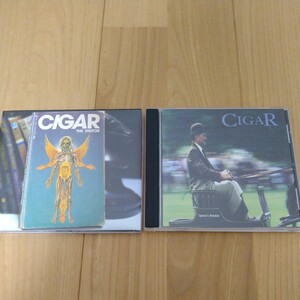 CIGAR 高速メロディック SKATE ADHESIVE BELVEDERE NOFX FAT WRECK BELLS ON VENEREA SATANIC SURFERS STRUNG OUT MILLENCOLIN