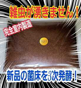 線虫、ダニ、コバエで悩んで方に！雑虫が全くわきません！完全室内製造☆進化した！ヒマラヤひらたけプレミアム3次発酵カブトムシマット