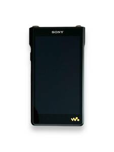 ソニー ウォークマン 128GB WM1シリーズ NW-WM1AM2