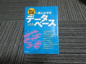 ずばっと解説　一気にわかるデータベース