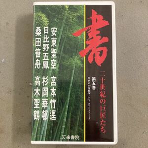 天来書院　書　二十世紀の巨匠たち　第五巻