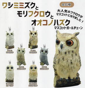 △△△　(即決]　ワシミミズクとモリフクロウとオオコノハズク　マスコットボールチェーン　( 全６種セット )