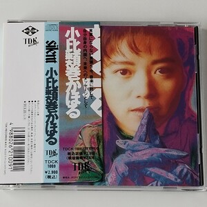 【帯付CD】小比類巻かほる / SILENT サイレント (TDZK-1009) 91年アルバム KAHORU KOHIRUIMAKI KOHHY /TIME GOES BY/