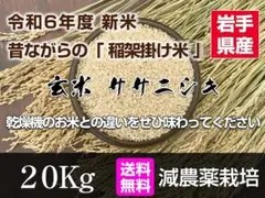 令和6年度 新米 岩手県産 ササニシキ 玄米 20Kg  稲架掛米 （天日干し）