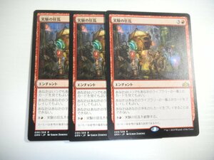 F384【MTG】実験の狂乱 3枚セット