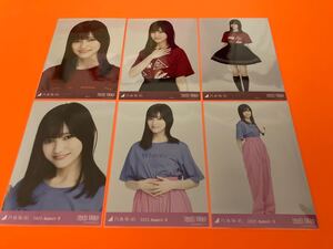 池田瑛紗　乃木坂46 真夏の全国ツアーTシャツ　愛知ver+ビビットトップス　ランダム生写真　6種コンプ