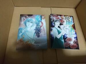 霊感ママシリーズ　夜の帳の奥底から　暁闇のあと　高野美香