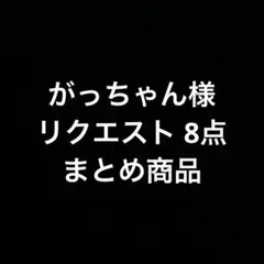 がっちゃん様 リクエスト 8点 まとめ商品