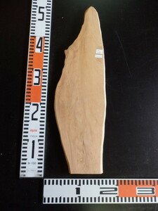 3041311 橡板●約49.3cm×1.5cm