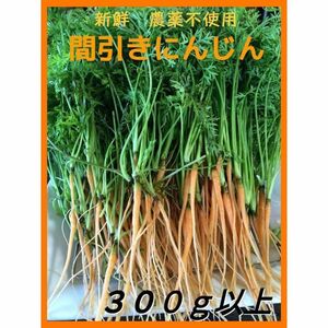 【新鮮・自然栽培】葉っぱ付き にんじん☆300g以上☆ 農薬不使用