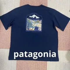 パタゴニア　50周年　レスポンシビリティー　半袖　Tシャツ