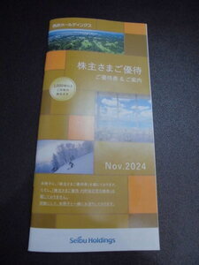 西武ホールディングス株主さまご優待　冊子　1,000株以上　有効期限2025/5/31
