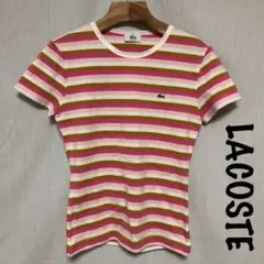 LACOSTE ボーダー　Tシャツ