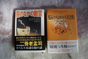 脳の研究　その16　Ｖ・Ｓ・ラマチャンドラン著　『脳のなかの幽霊』『脳のなかの天使』　