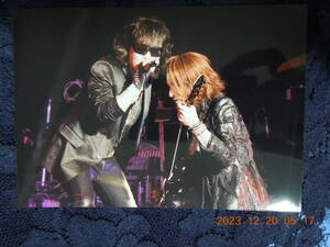 Toshl SUGIZO ブロマイド ④ / TOSHI 龍玄とし / X JAPAN 生写真