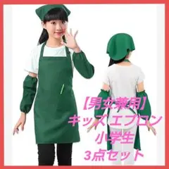 エプロン キッズ用エプロン エプロン子供用 小学生 三角巾セット 3点セット