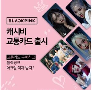 BLACKPINK 2020年 交通カード イベント ジス アクリル額縁世界5点