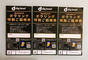 dig bowl◆ボウリング特別招待券 3枚