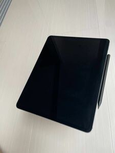 【美品】iPad Pro 第5世代 (ipad pro5) 12.9インチ :Cellular :256GB:スペースグレイ