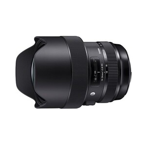 中古 １年保証 美品 SIGMA Art 14-24mm F2.8 DG HSM (ニコンF用)