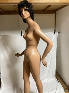 ②【マネキン人形】NANASAI 七彩 婦人服展示用什器 レディース 服飾 店舗用品 ディスプレイ トルソー