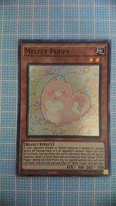 遊戯王 メルフィー・パピィ スーパーレア1枚 ROTD-EN019 英語版 未使用美品 希少 人気 Melffy Puppy 1st Edition