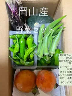 岡山産　野菜セット　60サイズ