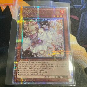 遊戯王 25thシークレット　灰流うらら　②