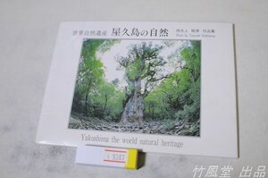 1-9387【絵葉書】屋久島の自然 9枚袋