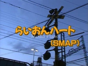 VCDカラオケ】SMAP*らいおんハート 含/16曲/BMB428/mdpkrvb