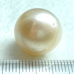 ソ付き!!1円〜!!☆南洋白蝶真珠25.287ct☆n 約15.27mm ルース 裸石 宝石 ジュエリー jewelry pearl パール DA3/DA3 テEB6◎ w5A91