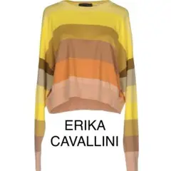 ERIKA CAVALLINI  ニット ボーダー トップス