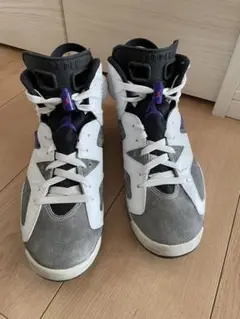 Air Jordan 6 Retroフリント/ ホワイト